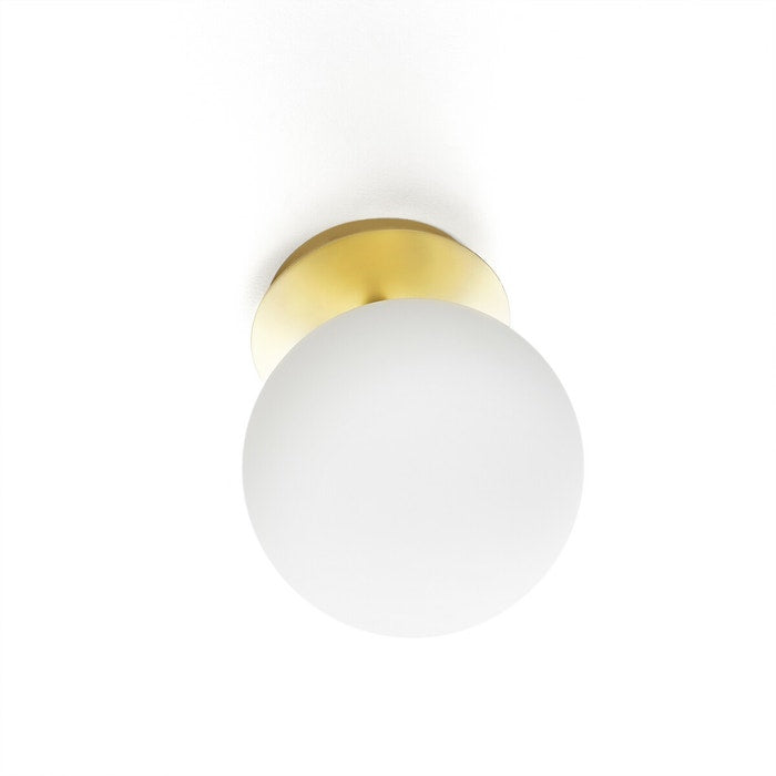 Stylish Single Globe Wall Light - Black or Brass Finish - Perfect for Bedrooms, Bathrooms, and Living Rooms